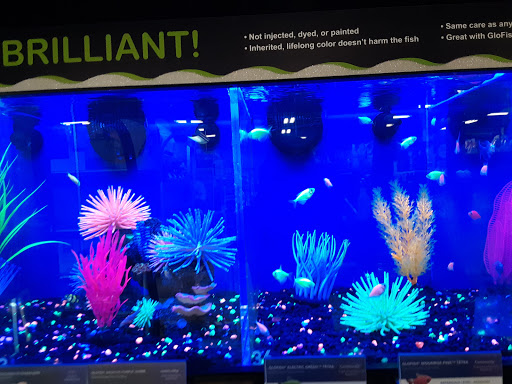 Pet Supply Store «PetSmart», reviews and photos, 5241 Monroe St, Toledo, OH 43623, USA