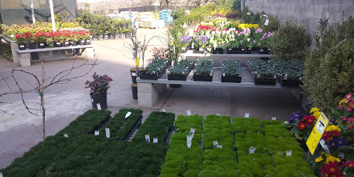 Home Improvement Store «The Home Depot», reviews and photos, 324 N Sunrise Ave, Roseville, CA 95661, USA