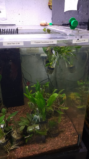 Pet Supply Store «Pet Club Emeryville», reviews and photos, 3535 Hollis St, Oakland, CA 94608, USA