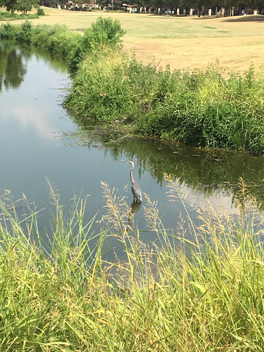 Golf Course «Riverchase Golf Course», reviews and photos, 700 Riverchase Dr, Coppell, TX 75019, USA