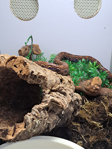 Pet Supply Store «Seascape Aquarium & Pet Center», reviews and photos, 2162 Gulf Gate Dr, Sarasota, FL 34231, USA