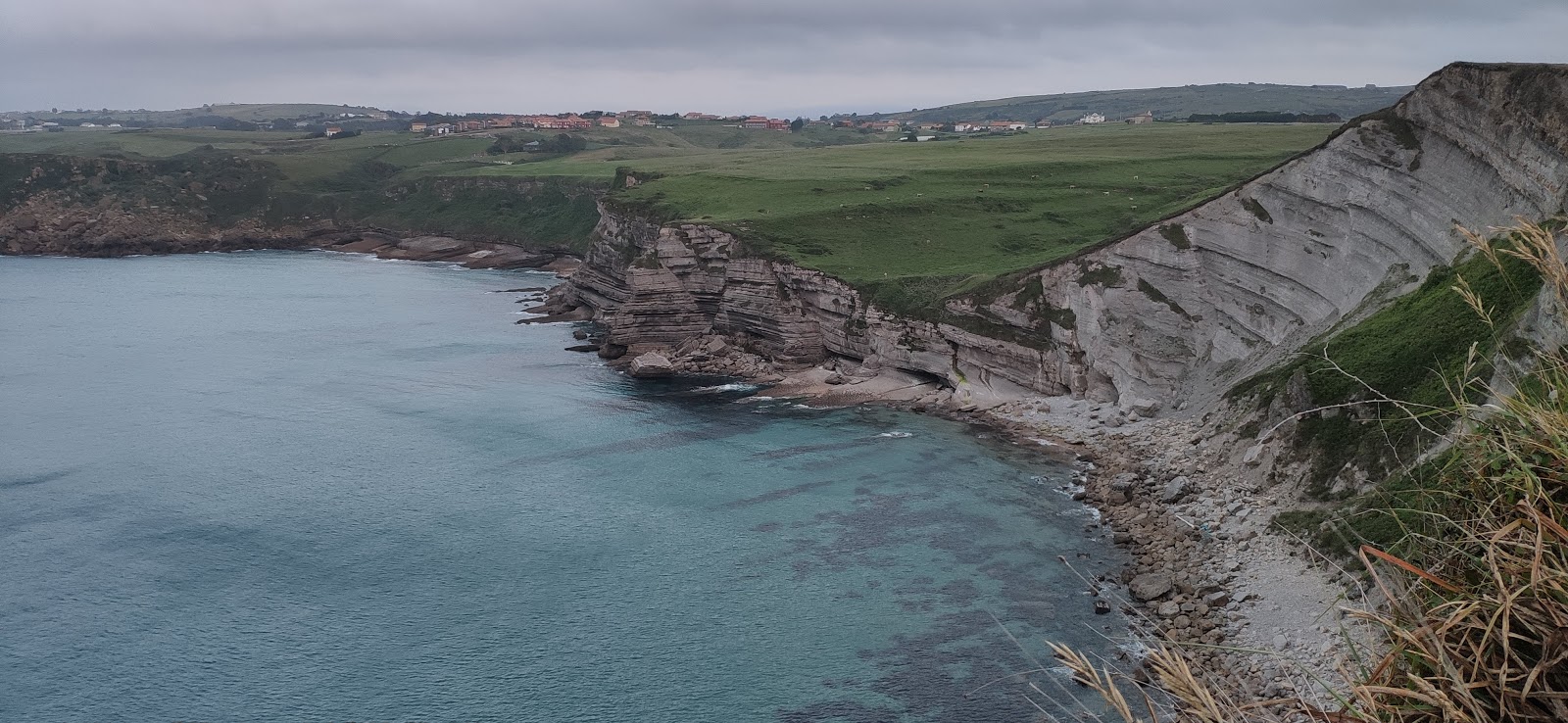 Playa Punta Ballota'in fotoğrafı vahşi alan