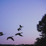 Photo n° 1 de l'avis de Lena.a fait le 04/02/2020 à 08:44 pour Gîte de Warincthun - Espace bien être - Kota Grill à Audinghen