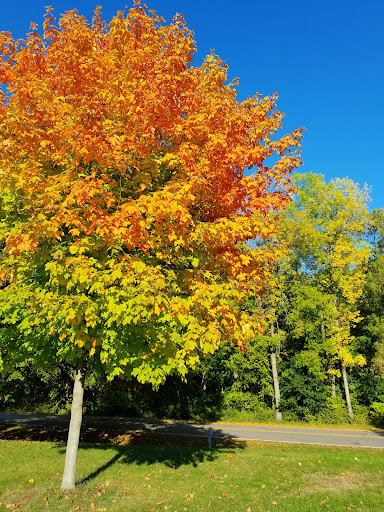 Park «Elm Creek Park Reserve», reviews and photos, 12400 James Deane Pkwy, Maple Grove, MN 55369, USA