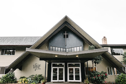 The Vine Church