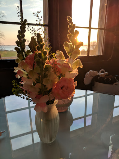 Tourist Attraction «Blithewold Mansion, Gardens & Arboretum», reviews and photos, 101 Ferry Rd, Bristol, RI 02809, USA