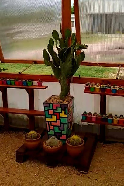 Almacén de cactus