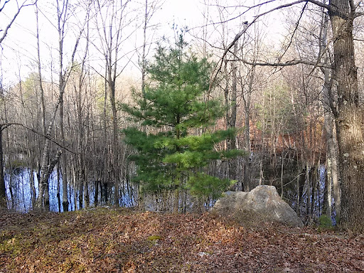 Hiking Area «Den Rock Park», reviews and photos, Stirling St, Andover, MA 01810, USA