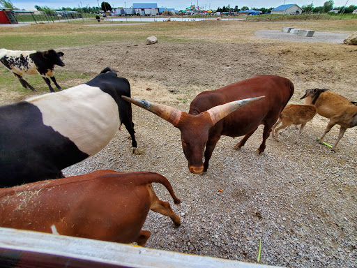 Water Park «Monsoon Lagoon Watering Hole Safari & Waterpark», reviews and photos, 1530 S Danbury Rd, Port Clinton, OH 43452, USA