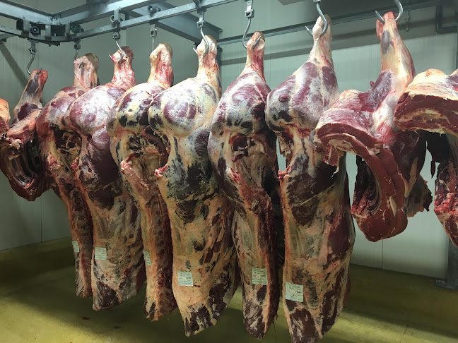 Beoordelingen van Green Meat NV in Moeskroen - Slagerij