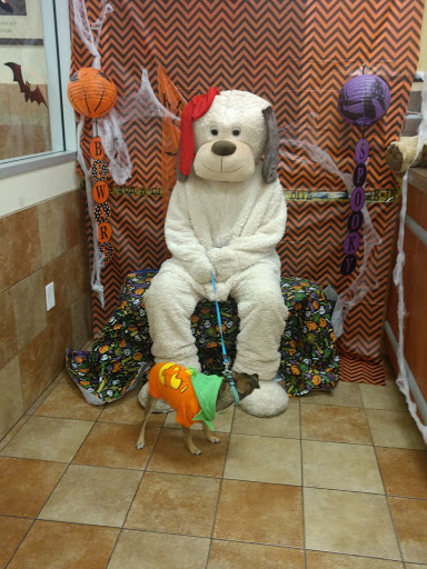 Pet Supply Store «PetSmart», reviews and photos, 19320 Nordhoff Way, Northridge, CA 91324, USA