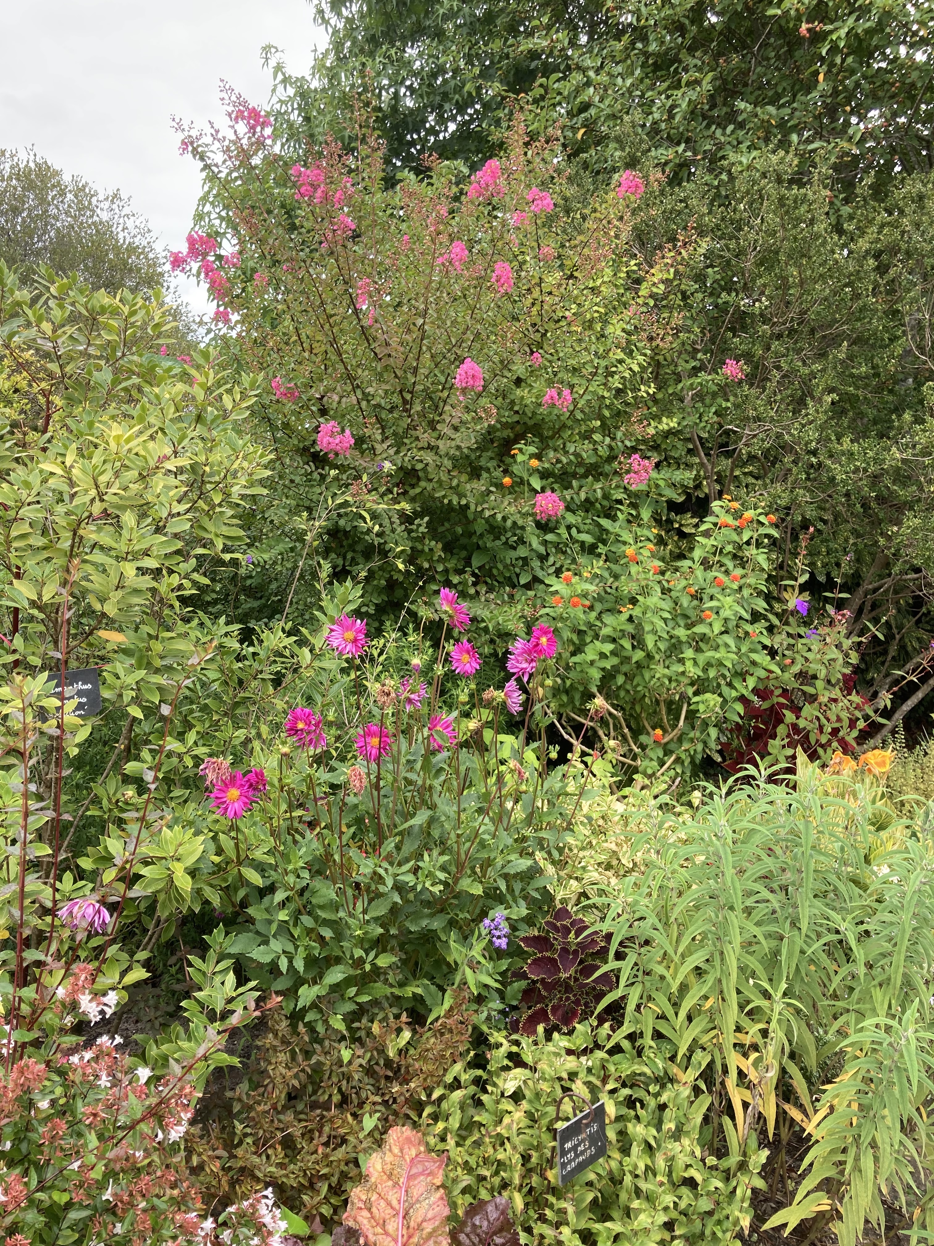 Photo n° 8 de l'avis de Jerome.a fait le 14/08/2022 à 18:58