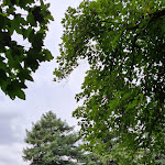 Photo n° 3 de l'avis de Catherine.h fait le 19/07/2021 à 14:46 pour Parc de l'île de la Loge à Le Port-Marly