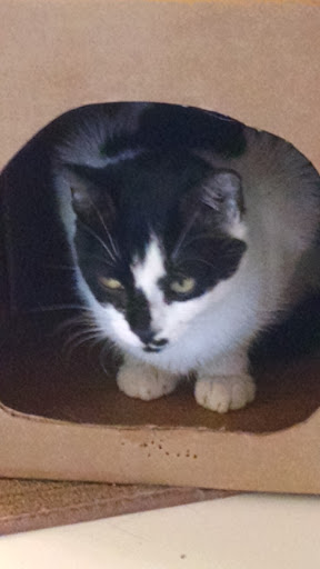 Pet Supply Store «Pet Supplies Plus», reviews and photos, 2057 S Telegraph Rd, Bloomfield Hills, MI 48302, USA