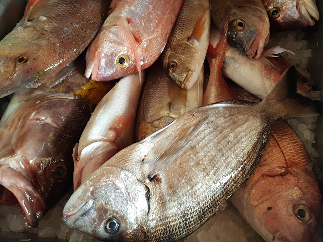 Σχόλια και κριτικές για το ΞΥΠΟΛΗΤΟΣ