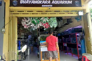 Bhayangkara aquarium image