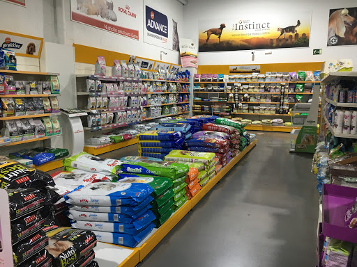 BURBUJIN ILLESCAS - Illescas