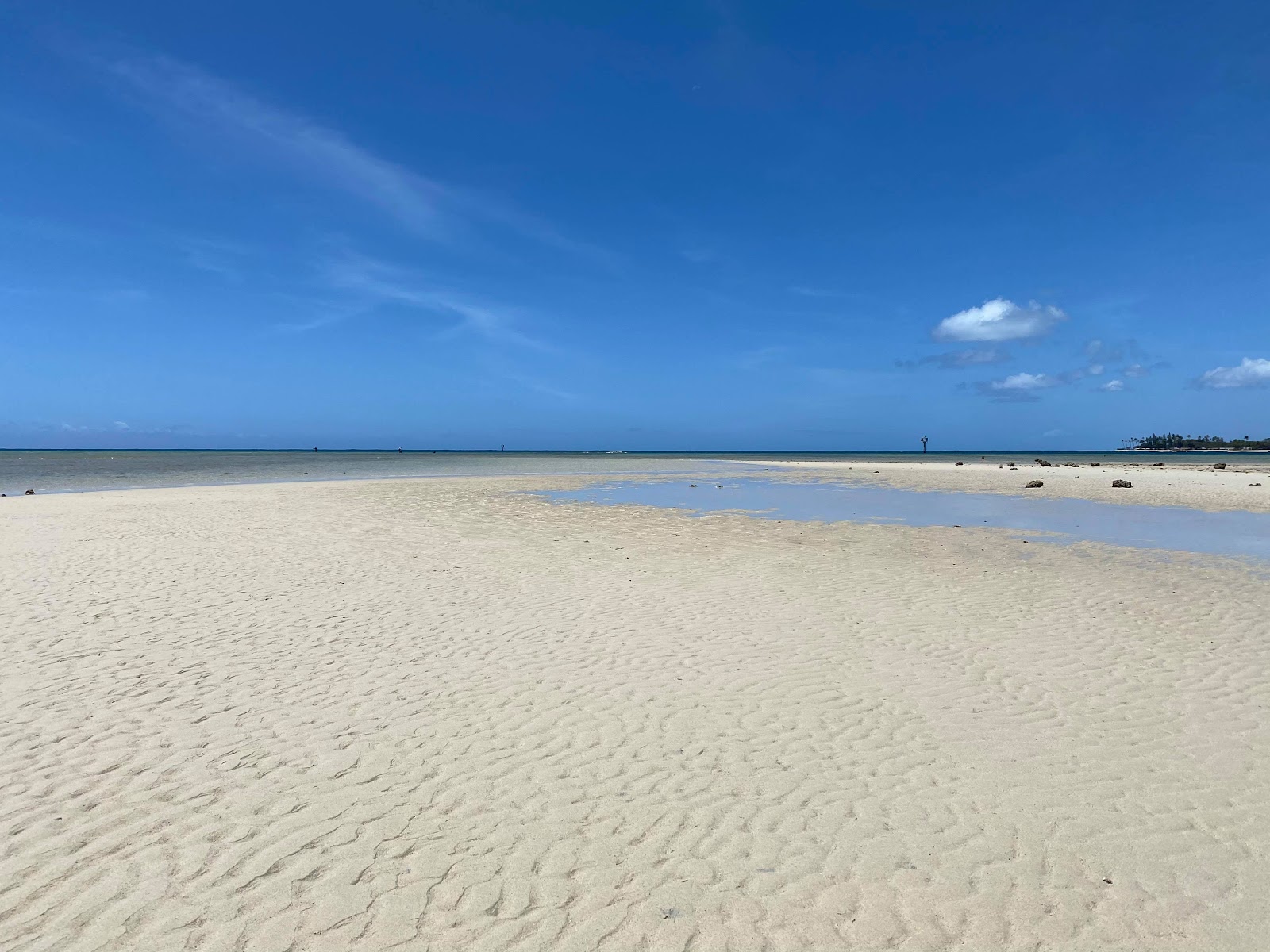 Kamehameha Beach'in fotoğrafı ve yerleşim