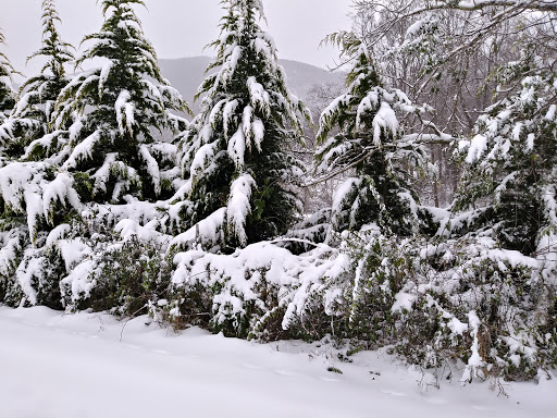 National Park «Blue Ridge National Heritage Area», reviews and photos, 195 Hemphill Knob Rd, Asheville, NC 28803, USA