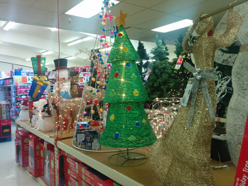 Discount Store «Big Lots», reviews and photos, 7991 Amador Valley Blvd, Dublin, CA 94568, USA