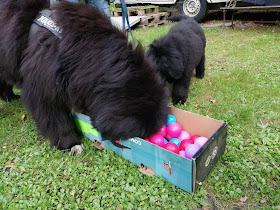 Anja & Hund