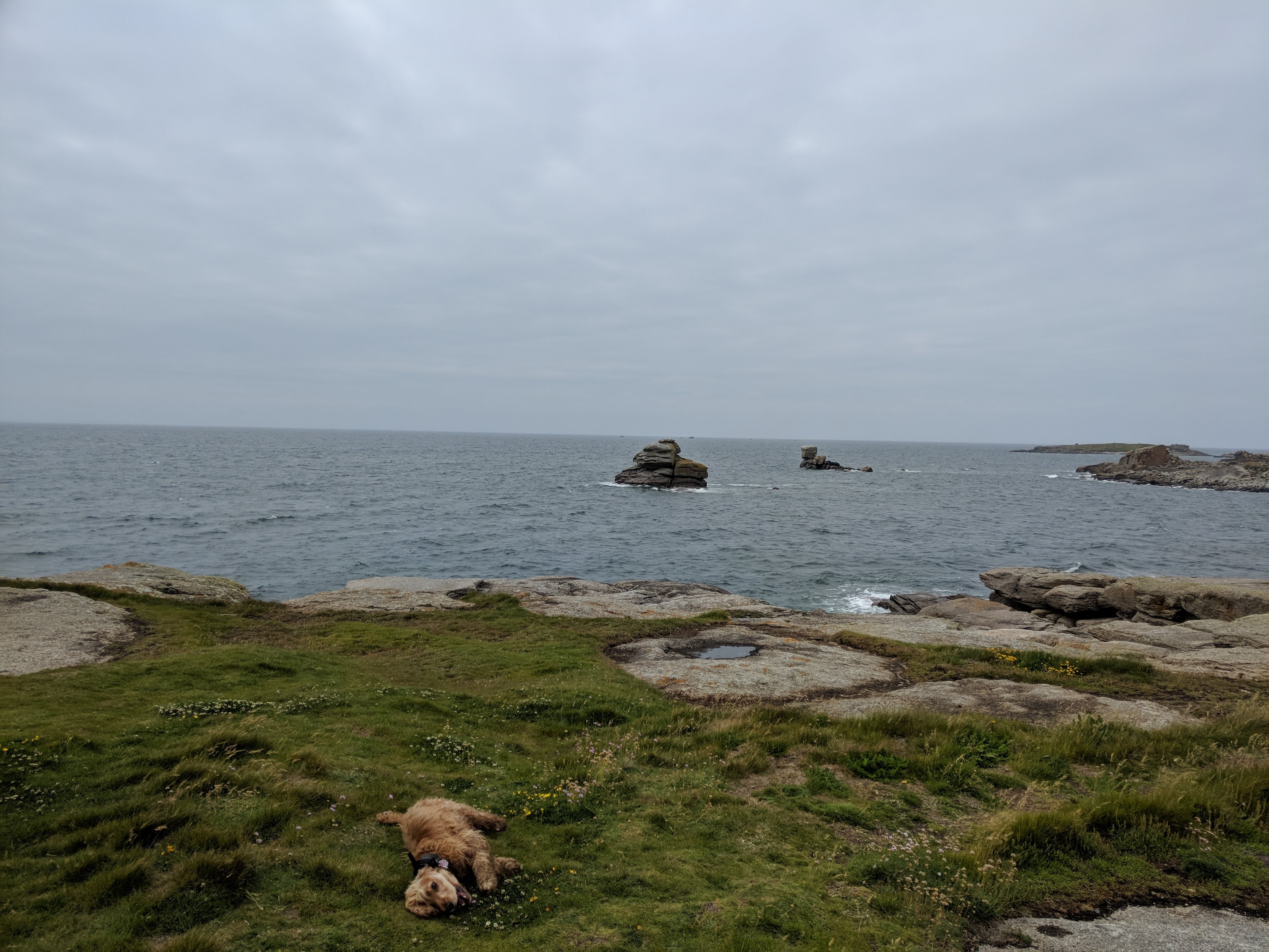 Photo n° 5 de l'avis de Sonja.c fait le 16/06/2019 à 18:50