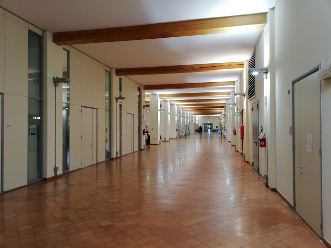 Recensioni di Dipartimento di Comunicazione ed Economia a Reggio nell'Emilia - Università