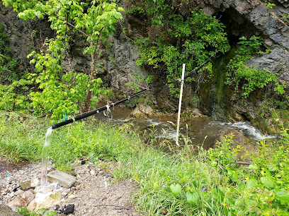 Fresh Mountain Spring Water