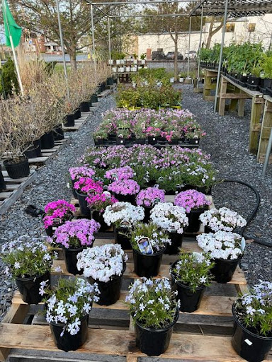 Florist «TG Designs», reviews and photos, 19231 Longmeadow Rd, Hagerstown, MD 21742, USA