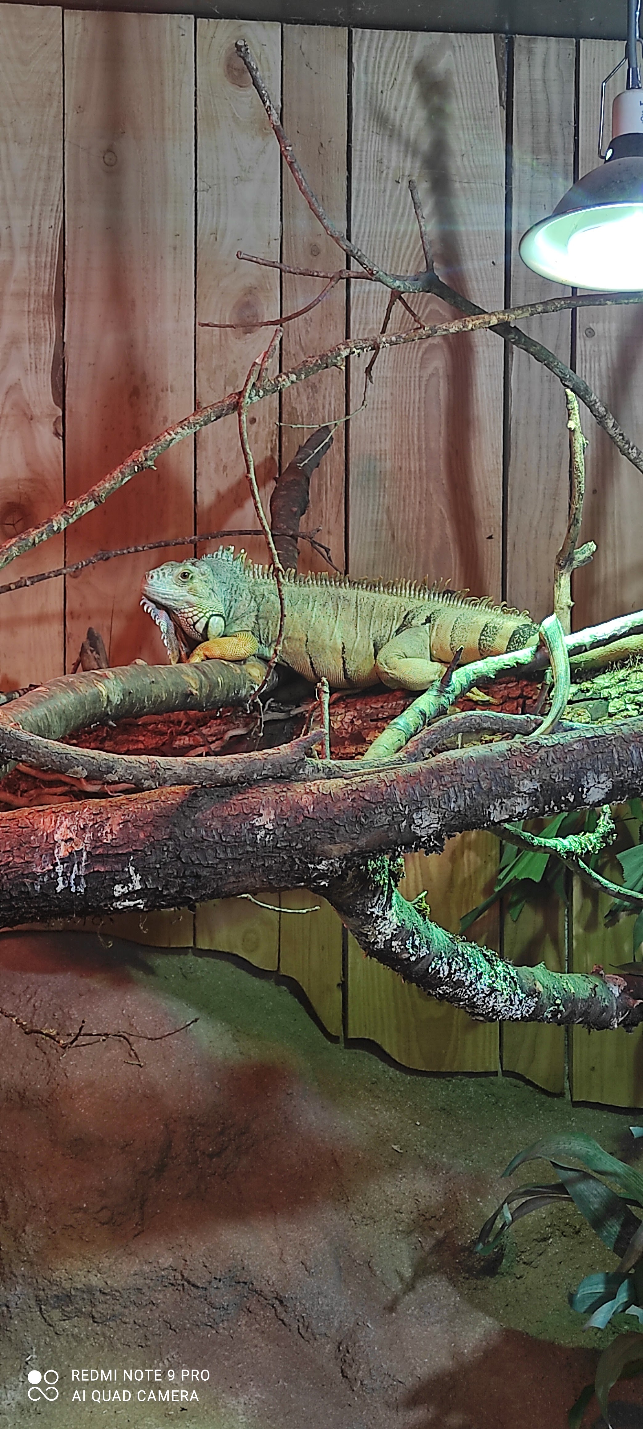 Photo n° 7 de l'avis de Stephane.S fait le 01/06/2021 à 13:52