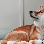 Photo n°1 de l'avis de David.� fait le 09/07/2023 à 08:36 sur le  Hotel Das James à Flensburg