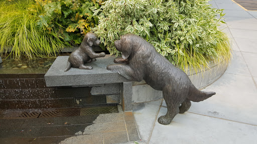 Computer Store «Apple University Village», reviews and photos, 2656 NE University Village St, Seattle, WA 98105, USA