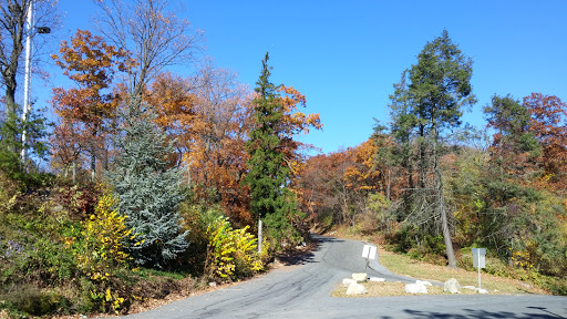 Landmark «The Pagoda», reviews and photos, 98 Duryea Dr, Reading, PA 19602, USA