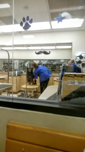 Pet Supply Store «PetSmart», reviews and photos, 5241 Frederica St, Owensboro, KY 42301, USA