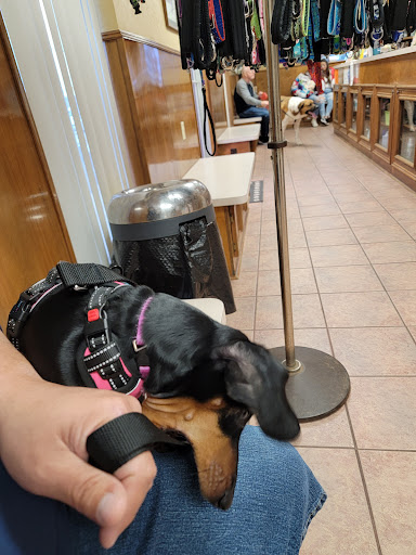 Porter Rd, Conroe, TX 77301, USA