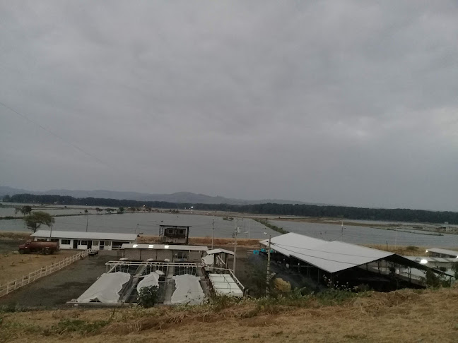 Opiniones de Laboratorio de larva de camaron Gutiérrez Salazar en Portoviejo - Laboratorio