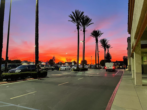 California Dollar, 3345 E Chapman Ave, Orange, CA 92869, USA, 