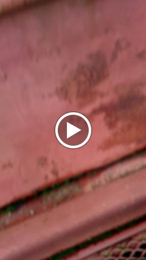 Produce Market «Clements Ridge Produce», reviews and photos, 23225 CA-88, Clements, CA 95227, USA