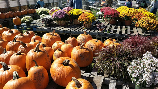 Farm «Fairmount Fruit Farm», reviews and photos, 887 Lincoln Street, Franklin, MA 02038, USA