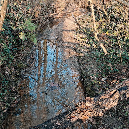 Nature Preserve «Daniel Johnson Nature Preserve», reviews and photos, 1301 Beech Valley Rd NE, Atlanta, GA 30306, USA