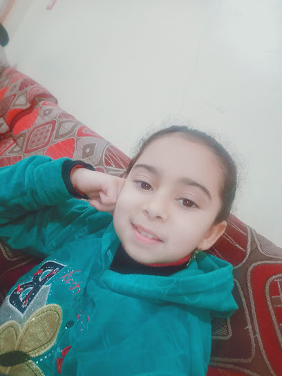 منزل احمد بك حسونه