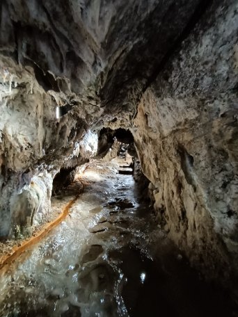 Photo n° 3 de l'avis de Dabala.a fait le 18/06/2022 à 14:41