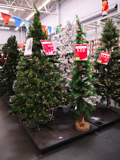 Department Store «Walmart Supercenter», reviews and photos, 2461 E Gulf to Lake Hwy, Inverness, FL 34453, USA