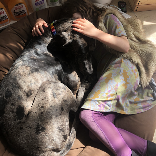 Pet Supply Store «Cole Valley Pets», reviews and photos, 910 Cole St, San Francisco, CA 94117, USA