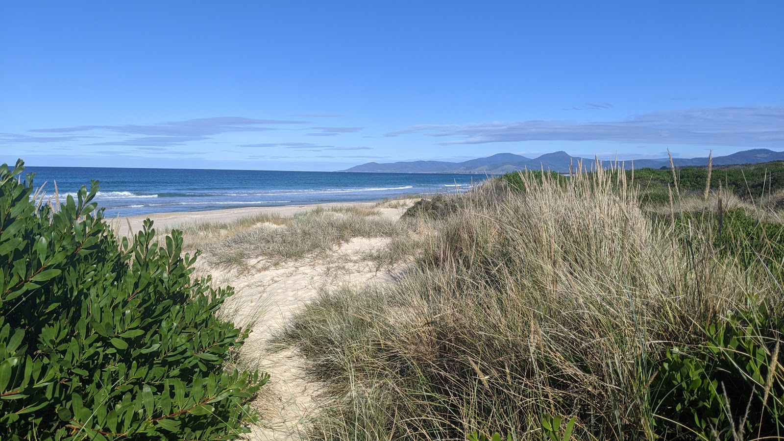 Beaumaris Beach photo #7