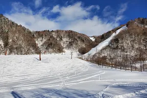 Hirayu Onsen Ski Area image