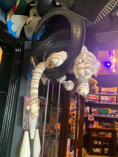 Toy Store «Why Not Toys», reviews and photos, 319 Gentry St, Spring, TX 77373, USA