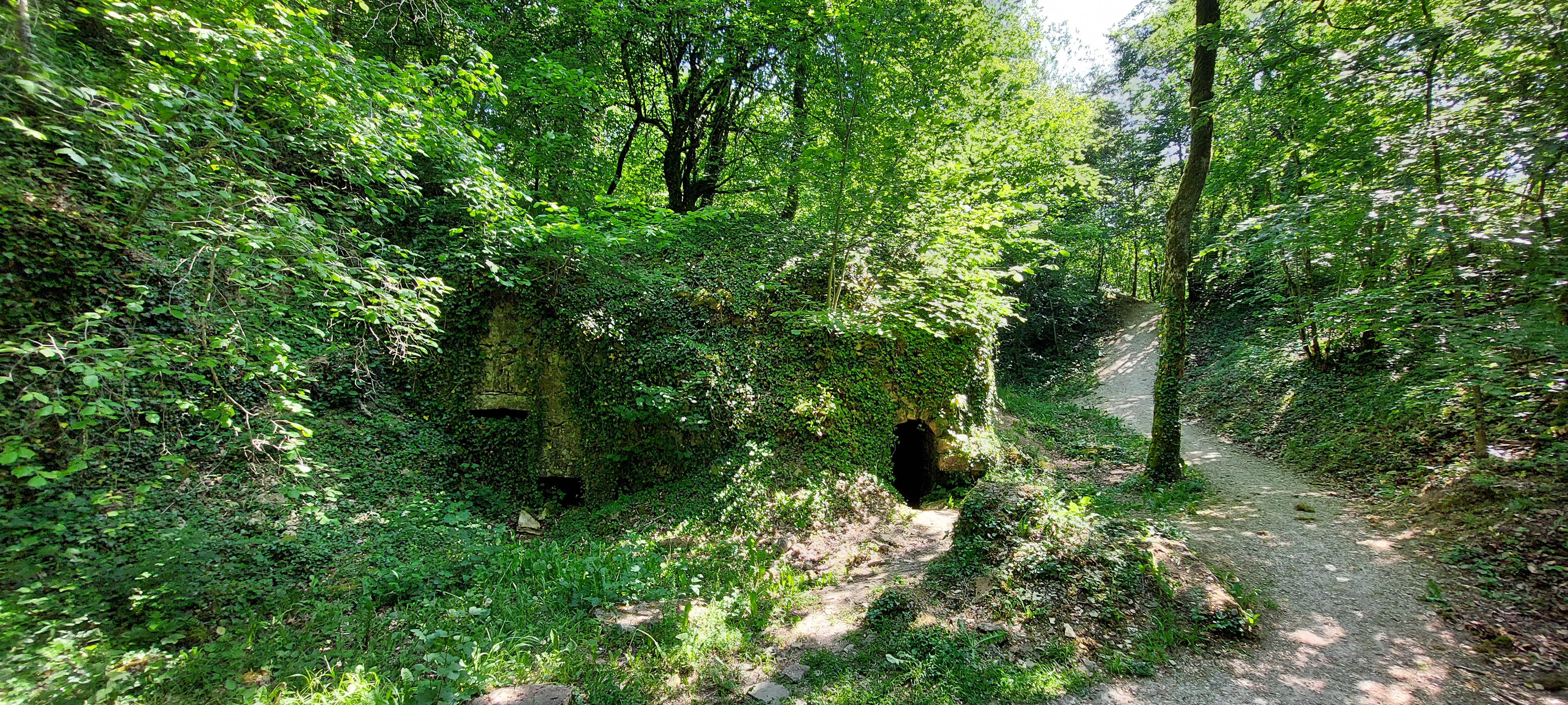 Photo n° 3 de l'avis de Thomas.h fait le 12/06/2023 à 18:43