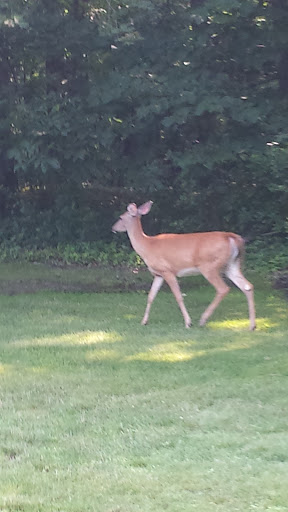 Golf Club «Hilliard Lakes Golf Club», reviews and photos, 31665 Hilliard Blvd, Westlake, OH 44145, USA