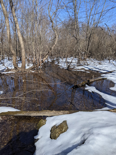 Nature Preserve «Knute Olson, Jr. Forest Preserve», reviews and photos, 12595 Base Line Rd, Kingston, IL 60145, USA